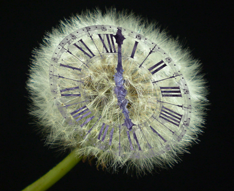clock with saba flower