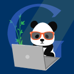 Google Panda 4.0 Update